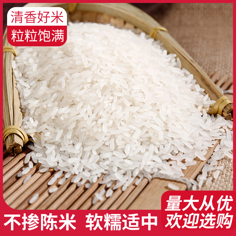 ZT5019-食品飲料-紅色.jpg