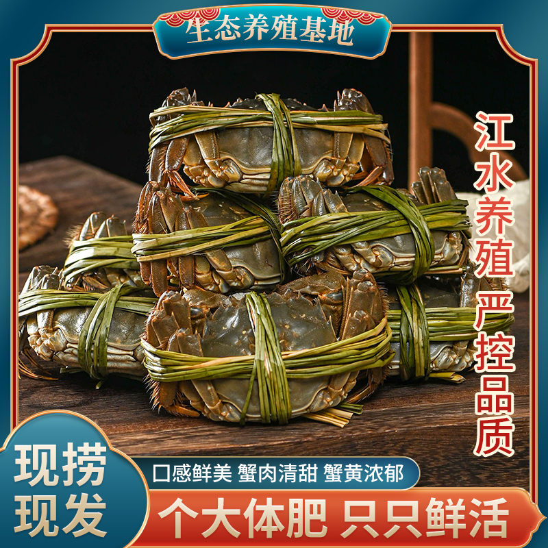 ZT5439-食品飲料-藍色.jpg